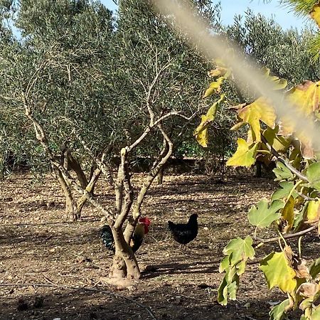 Cortijo Rural Barranco La Higuera Aguamarga 7 Villa Almería Exteriör bild