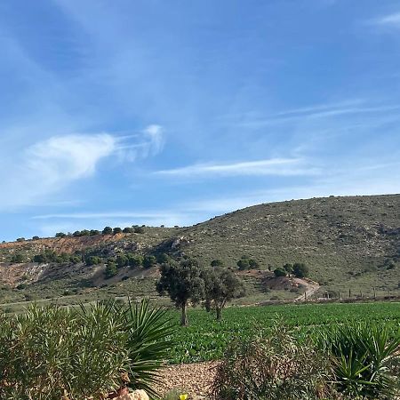 Cortijo Rural Barranco La Higuera Aguamarga 7 Villa Almería Exteriör bild