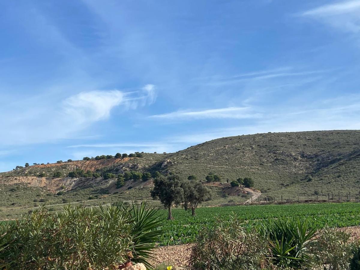 Cortijo Rural Barranco La Higuera Aguamarga 7 Villa Almería Exteriör bild