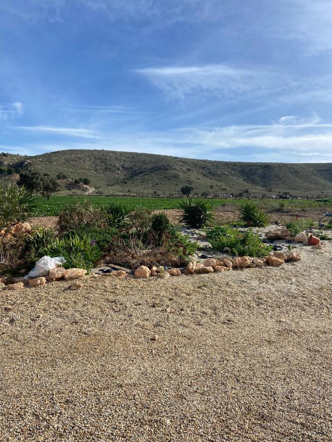 Cortijo Rural Barranco La Higuera Aguamarga 7 Villa Almería Exteriör bild