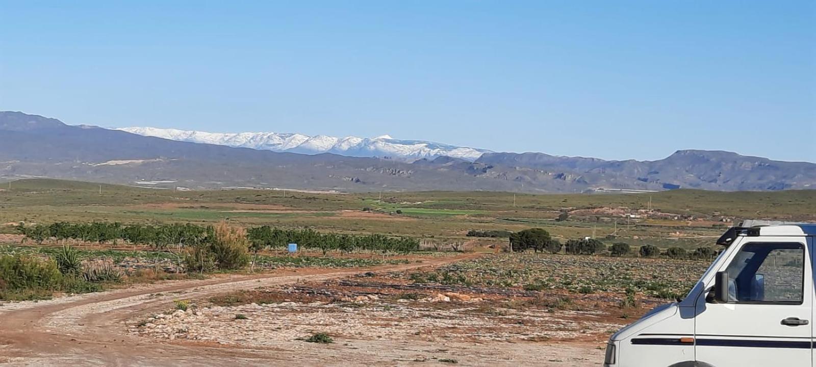 Cortijo Rural Barranco La Higuera Aguamarga 7 Villa Almería Exteriör bild