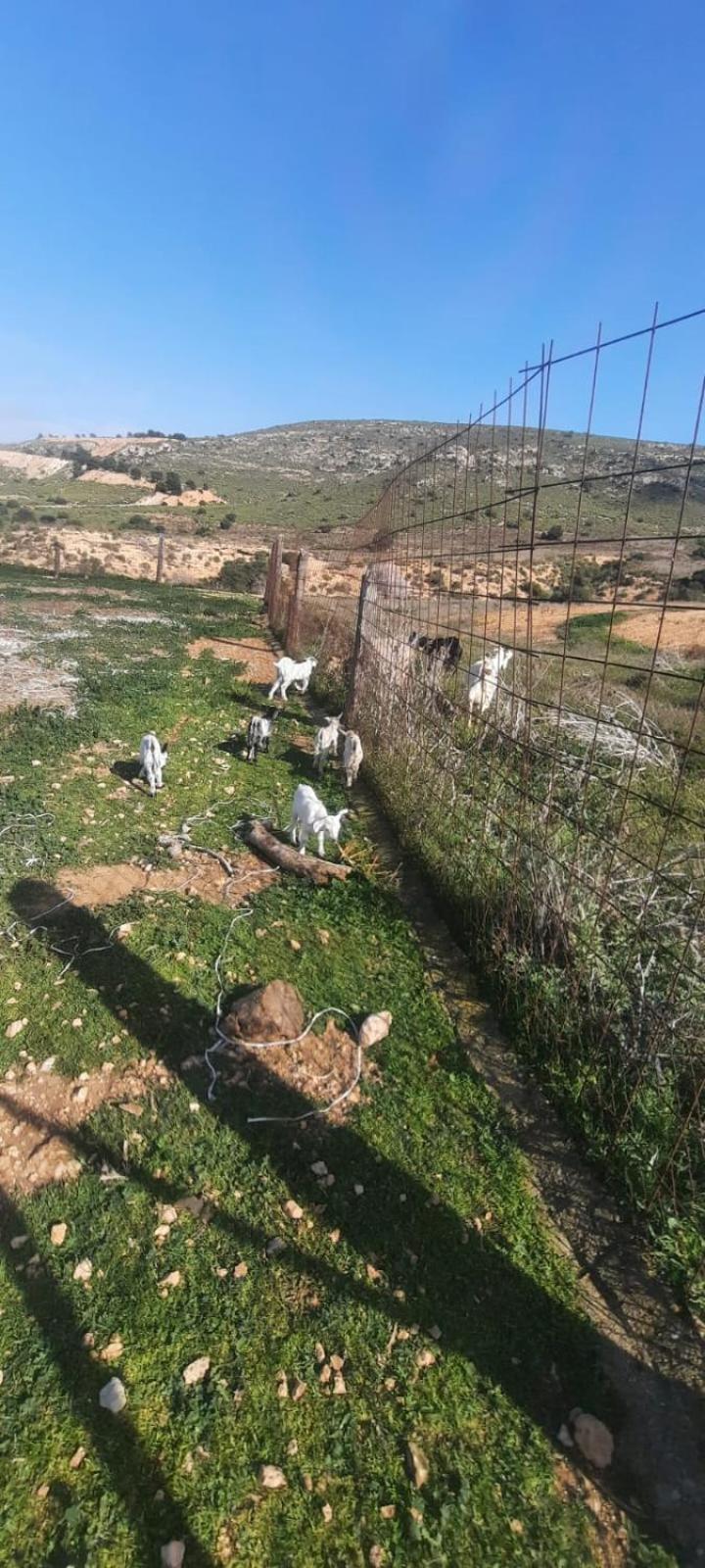 Cortijo Rural Barranco La Higuera Aguamarga 7 Villa Almería Exteriör bild