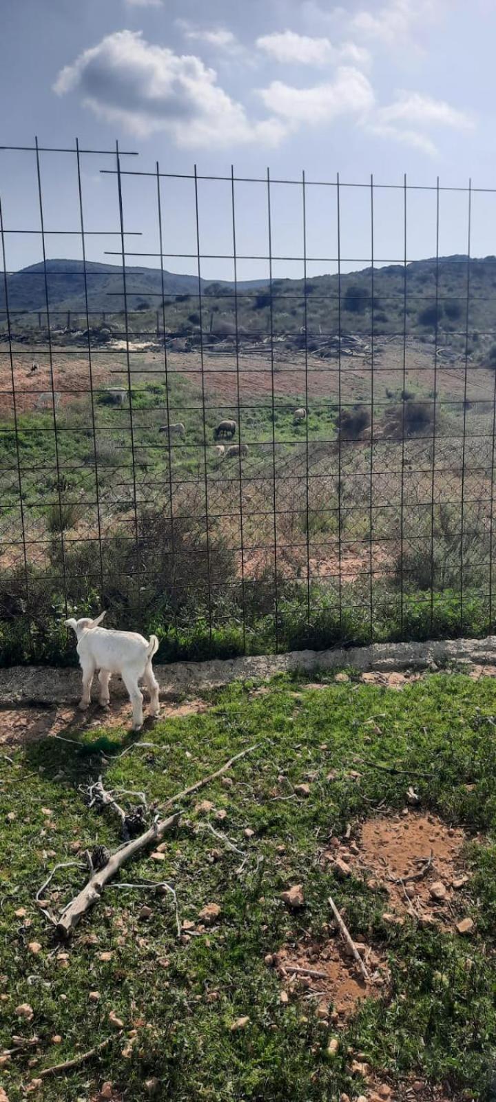 Cortijo Rural Barranco La Higuera Aguamarga 7 Villa Almería Exteriör bild